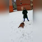 Das Profilbild von Djack