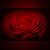 Das Profilbild von Cookie29